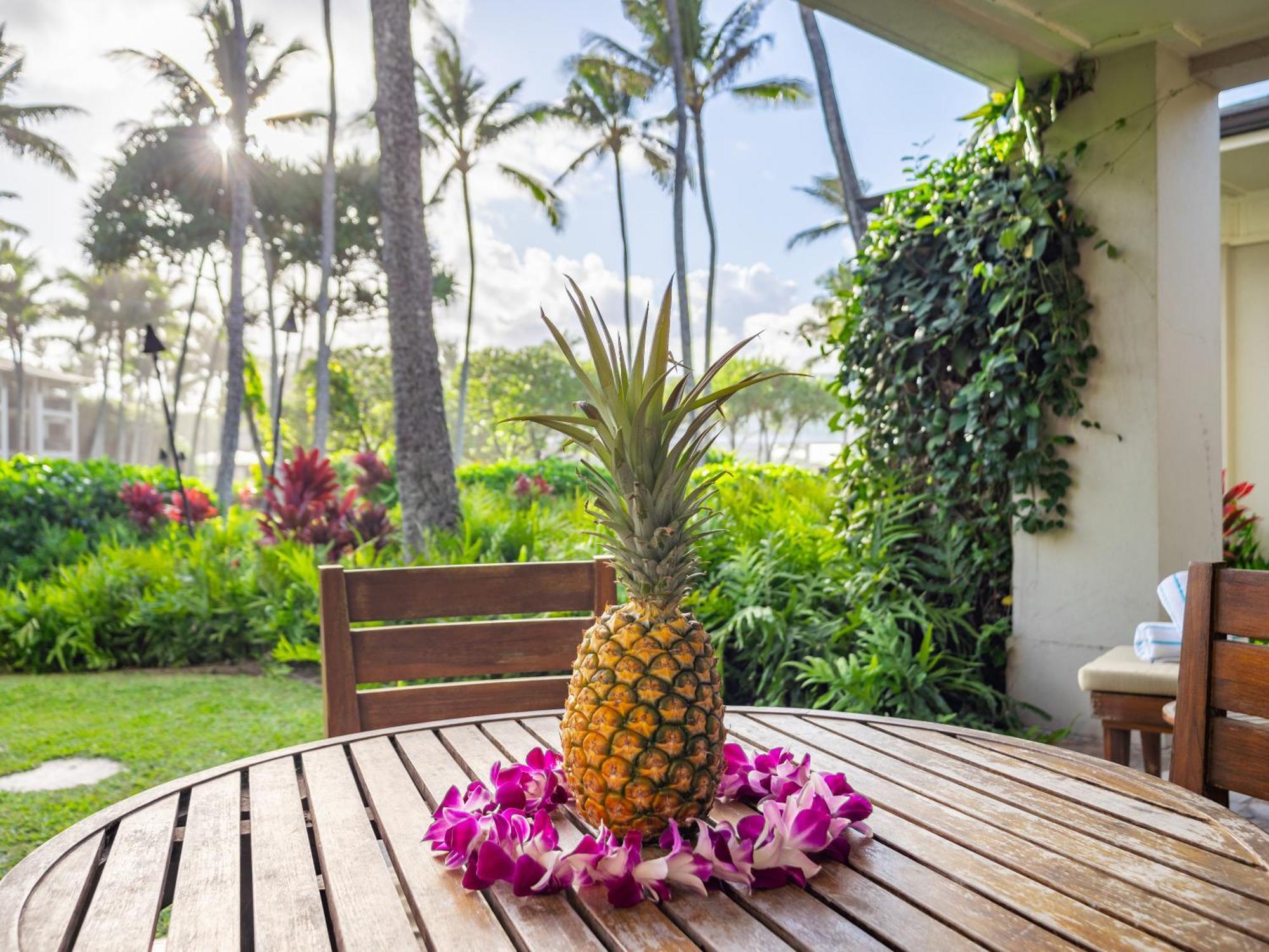 Ocean Villas At Turtle Bay 카후쿠 객실 사진